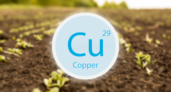 The role of copper in agriculture and plant growth
